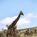TZA_ARU_Ngorongoro_2016DEC23_055.jpg